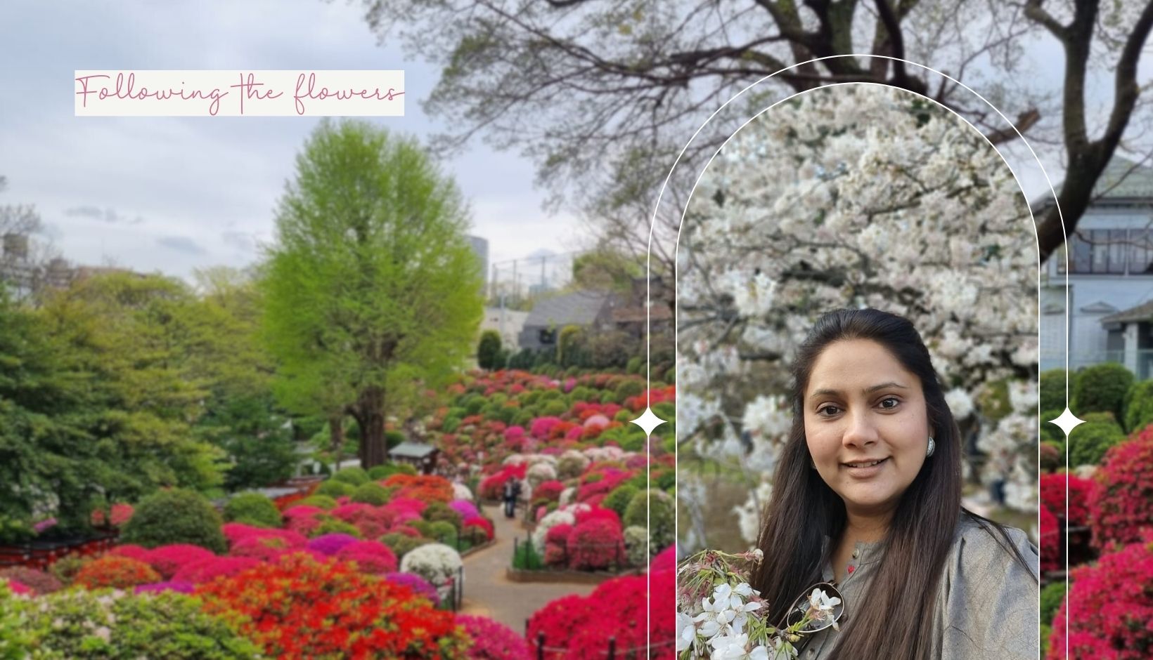 A Journey through Japan's Sakura Season: Following the Flowers