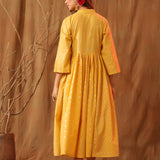Purva Shimmery Dress